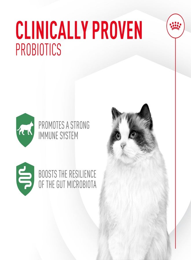 Royal Canin Probiotics for Cats Digestive and Immune Health Powder Supplement for Cats of All Ages, 30 Count - Image 2
